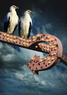 Creation of Fantasy Scene_Birdz: Step 4